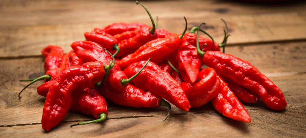 BhutJolokia