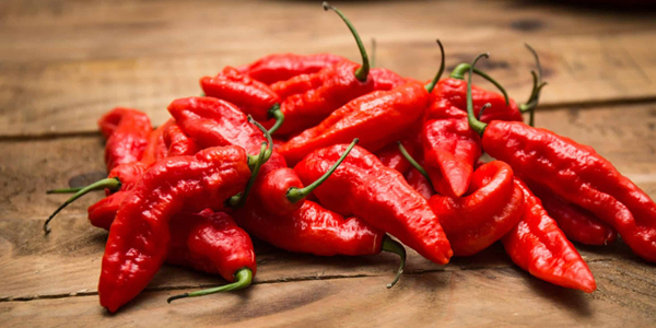chile bhut jolokia