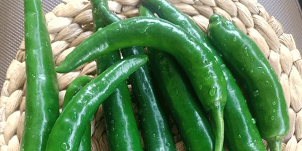CheongyangChili-en-bilbao
