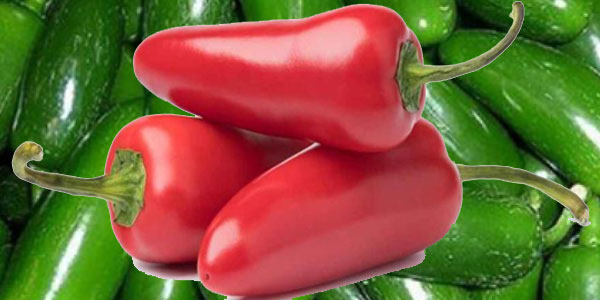 jalapeño