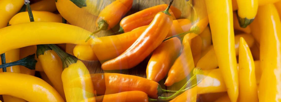 aji amarillo