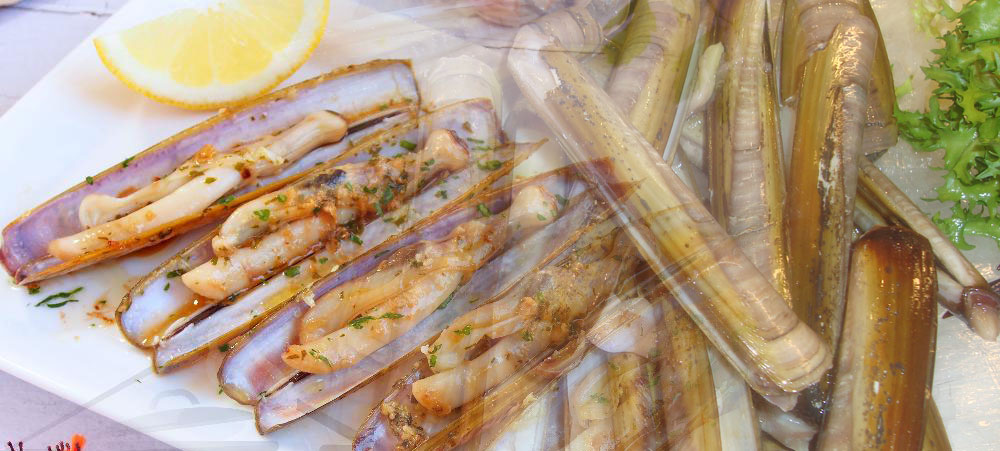 RAZOR CLAMS