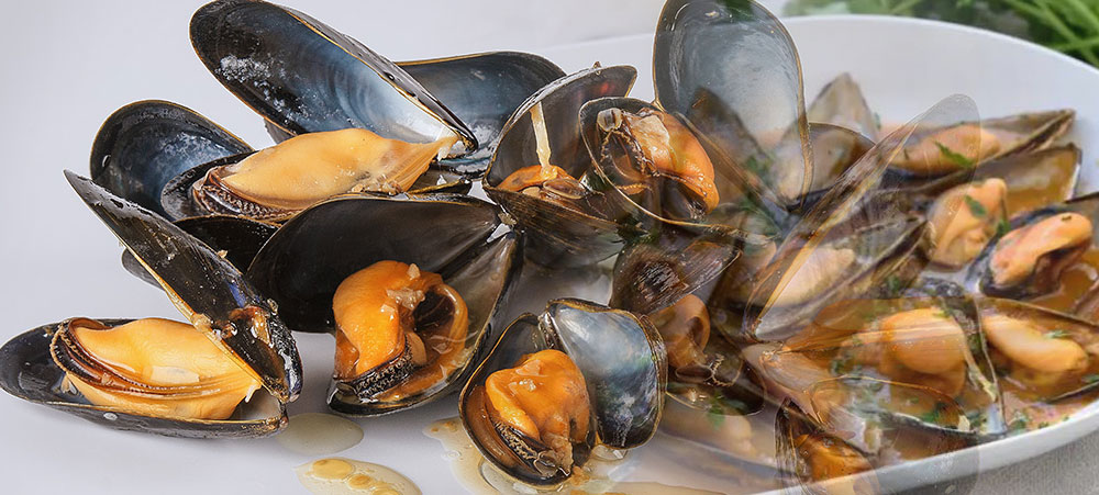 mussels