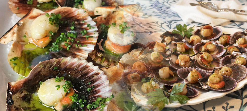 scallops