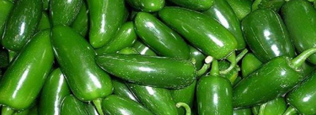 jalapeño